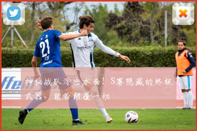 神秘战队浮出水面！S赛隐藏的终极武器，能否颠覆一切