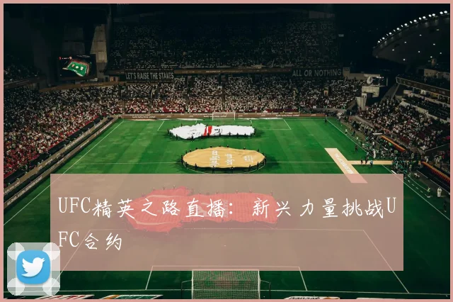 UFC精英之路直播:新兴力量挑战UFC合约