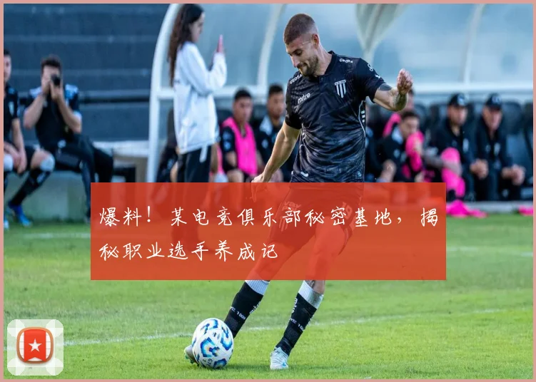 爆料！某电竞俱乐部秘密基地，揭秘职业选手养成记