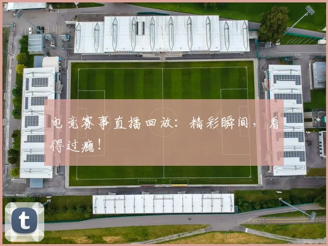 电竞赛事直播回放：精彩瞬间，看得过瘾！