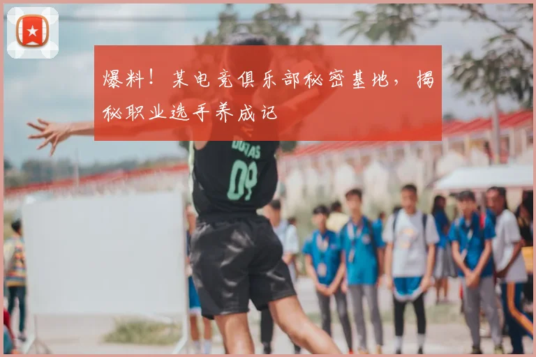 爆料!某电竞俱乐部秘密基地,揭秘职业选手养成记