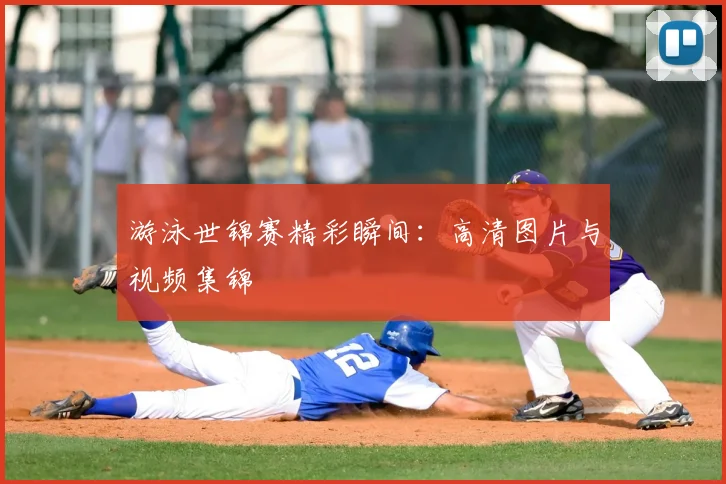 游泳世锦赛精彩瞬间：高清图片与视频集锦