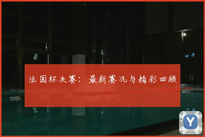 法国杯决赛：最新赛况与精彩回顾