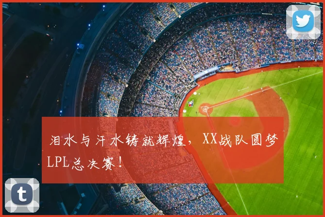 泪水与汗水铸就辉煌,XX战队圆梦LPL总决赛!