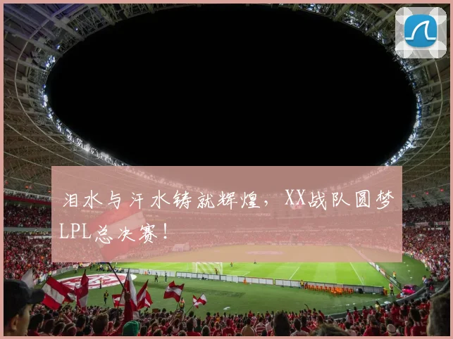 泪水与汗水铸就辉煌,XX战队圆梦LPL总决赛!