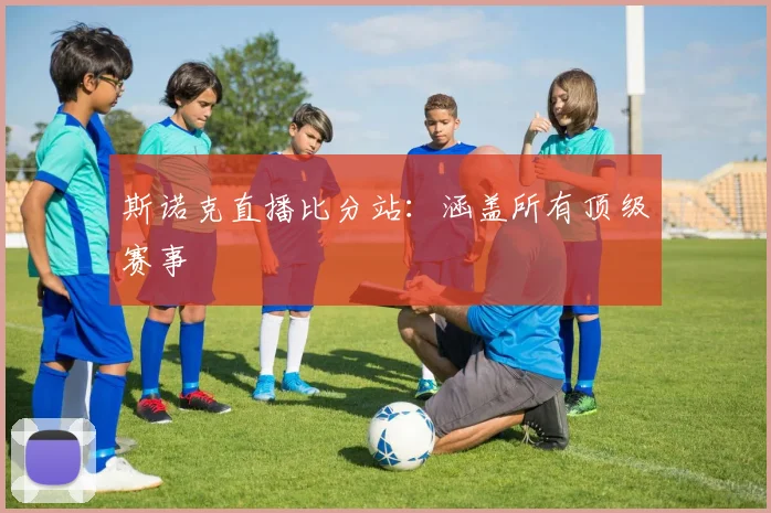 斯诺克直播比分站：涵盖所有顶级赛事